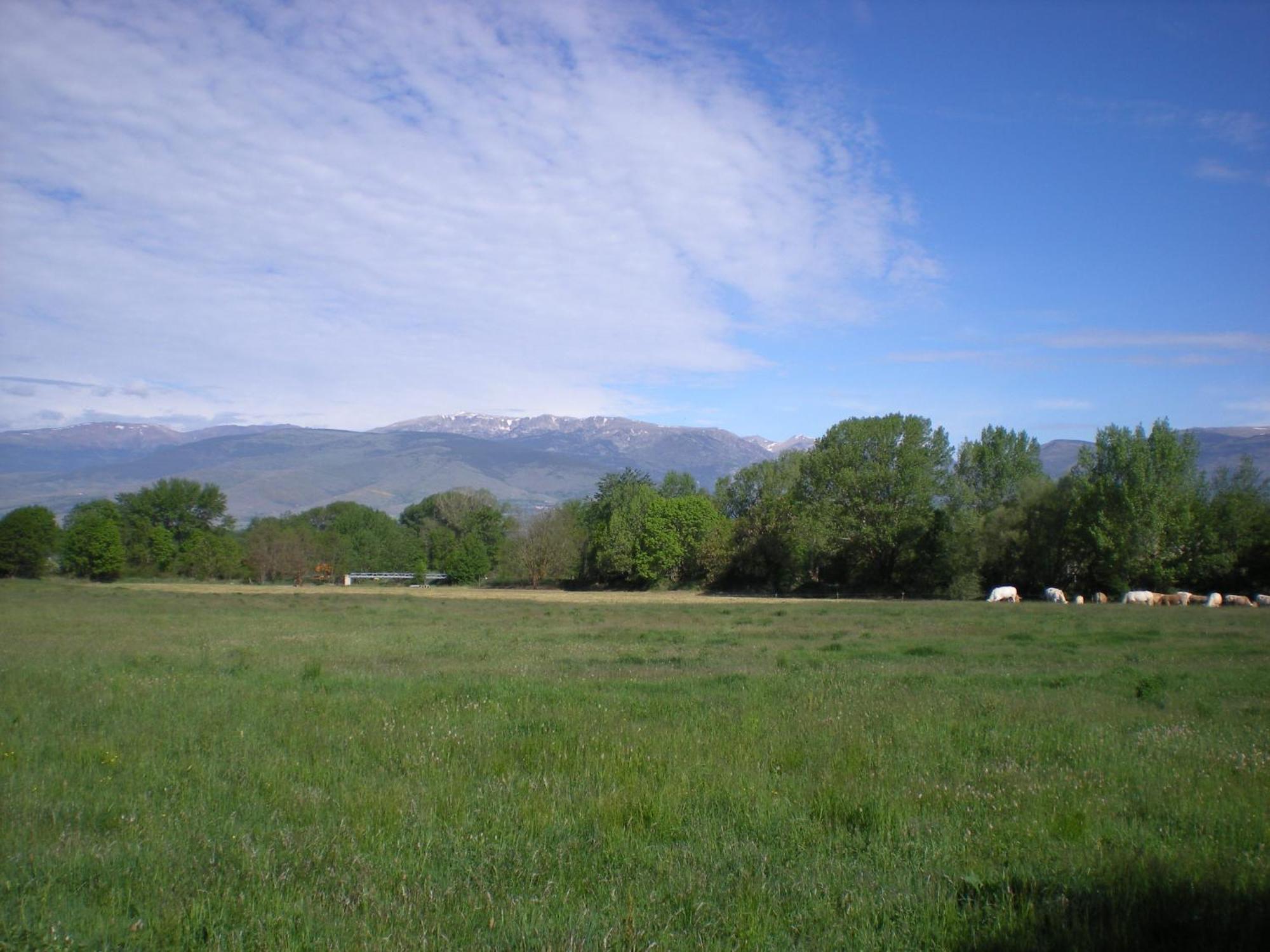Camping Las Asperas*** Palau-de-Cerdagne エクステリア 写真